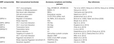 Noncanonical Functions and Cellular Dynamics of the Mammalian Signal Recognition Particle Components